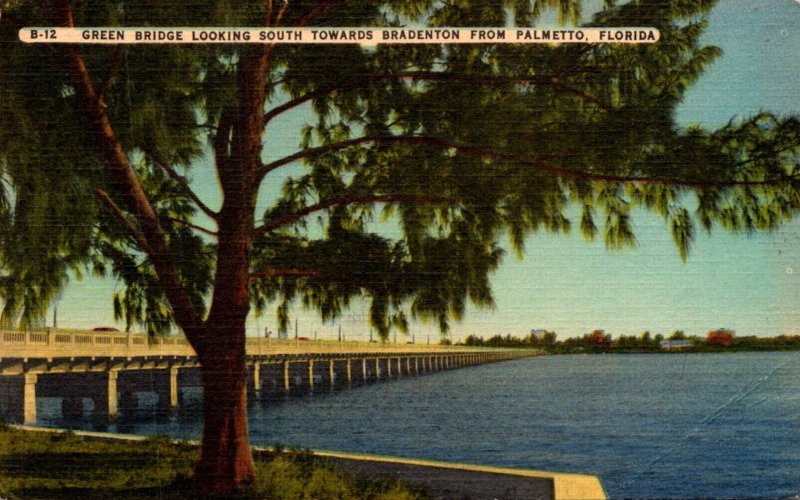 Florida Green Bridge Looking South Towards Bradenton From Palmetto 1951