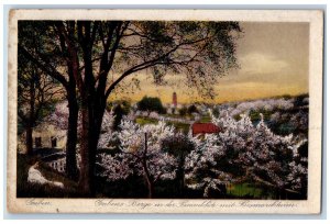 Guben Germany Postcard Gubens Mountains Bossom Tree Bismarck Tower c1920's