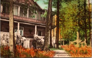 Hand Colored PC Gene Stratton-Porter's Country Farm Wildflower Woods Indiana