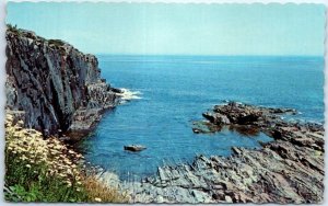 Postcard - Bald Head Cliff - Ogunquit, Maine