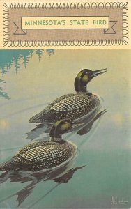 Loon Minnesota State Bird Bird Unused 