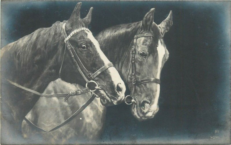 Horses photo postcard