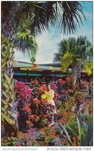 Florida Silver Springs Home Of World Famous Glass Bottom Boats Admiring Flowers