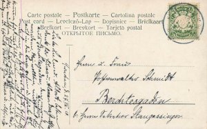 Landscape with ducks Germany early postcard