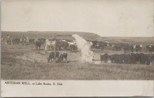 Artesian Well at Lake Andes South Dakota SD Cattle 1900's Perry Postcard D87