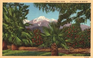 Oranges And Snow California In Winter Western Publishing Vintage Postcard c1930