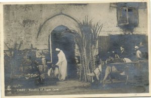 PC EGYPT, CAIRO, VENDORS OF SUGAR CANE, Vintage REAL PHOTO Postcard (b36815)