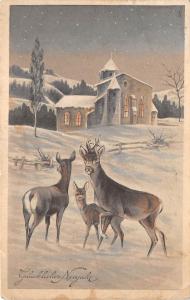 BG20549  deer cerf winter landscape   new year neujahr germany