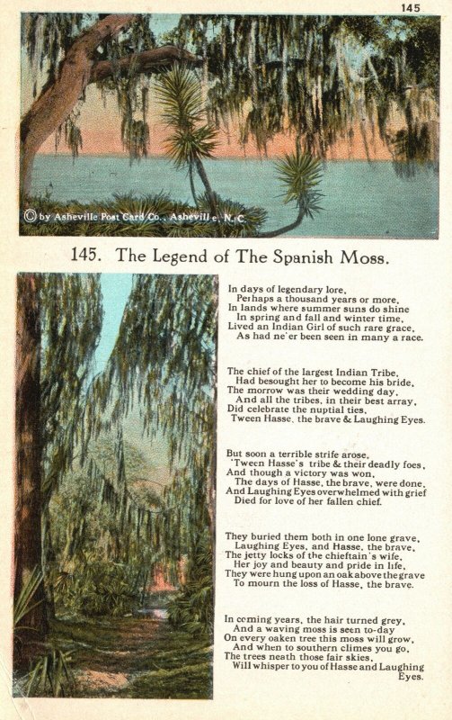 Vintage Postcard 1920's The Legend of The Spanish Moss Asheville North Carolina United States