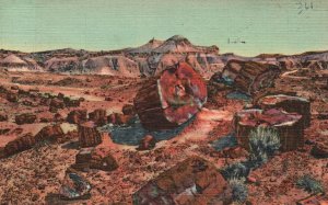 Vintage Postcard 1946 Petrified Forest Vast Deposits Arizona J. R. Willis Pub.