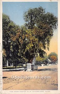 The Washington Elm - Cambridge, Massachusetts MA Postcard