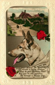 1933 German Shepherd  Good Luck Wish Embossed Border RPPC British Postcard