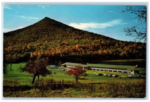 c1950's Peaks of Otter Lodge in the Blue Ridge Mountains Bedford VA Postcard 