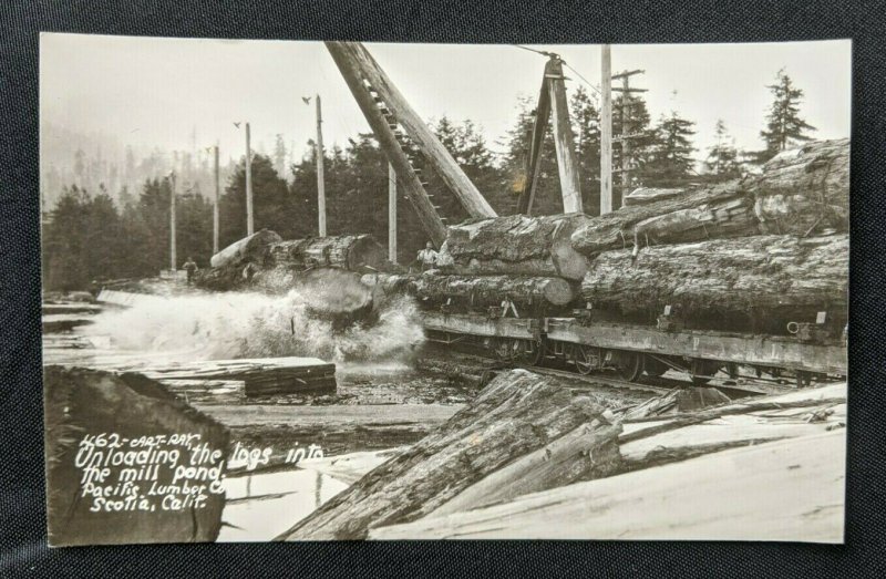 Mint Vintage Unloading Pacific Lumber Co Scotia CA Real Photo Postcard RPPC