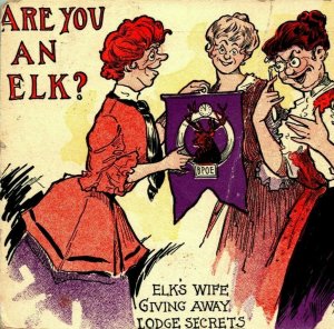 Comic Are You An Elk? Elks Club Wife Giving Away Lodge Secrets 1909 Vtg Postcard