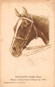 Holland House Challenge Cup Rosalind Saddle Horse Vintage Postcard AA30125