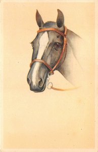 us7405 horse artist signed head animal cheveau belgium