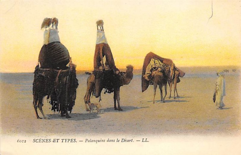 Palanquins dans le Desert Camel Unused 