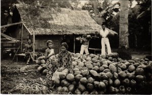 PC CPA real photo village scene fruit INDONESIA (a15227)