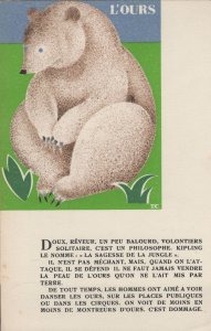 White French Bear Safety of Attack Old Postcard