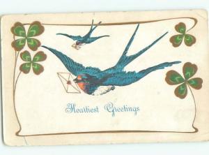 Divided-Back BIRDS SCENE Pretty Postcard AA8769