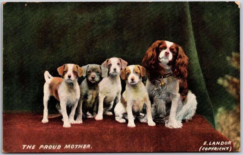 The Proud Mother Dog With Four Pets E. Landor Postcard