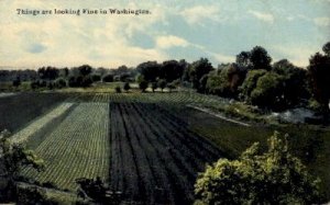 Farm - Misc, Washington