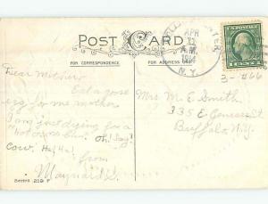 Divided-Back Easter YELLOW CHICK WITH BROWN CHICK o6271