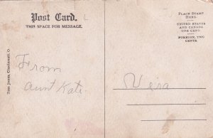 Little Niagara Eau Claire Wisconsin WI Postcard E11