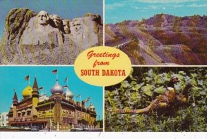 Greetings From South Dakota Corn Palace Mount Rushmore Bad Lands & Pheasant T...