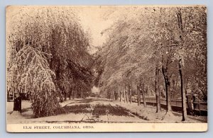 J93/ Columbiana Ohio Postcard c1910 County Elm Street Winter Homes 97