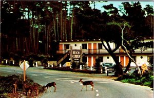 Pacific Grove, CA California  BEACHCOMBER INN  Roadside Motel~Deer 1968 Postcard