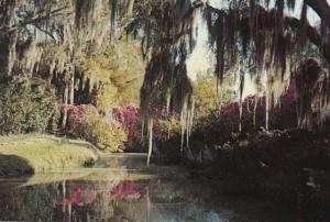 Louisiana Avery Island Jungle Gardens