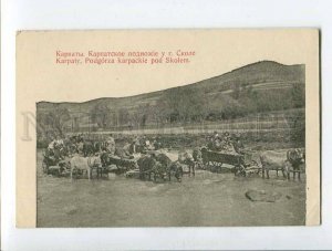 287317 UKRAINE Carpathians Skole native carriage Vintage postcard