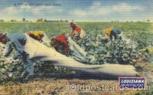 Louisiana, USA the pelican State Black, Blacks Postcard Post Card  Louisiana,...