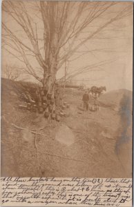RPPC 32 Buckets on Maple Tree tapping syrup sap