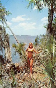 Bathing Beauty Post Card Tomoka River Ormond Beach, Florida, Usa Unused