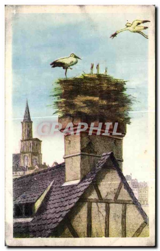 Old Postcard Strasbourg Alsace storks nest