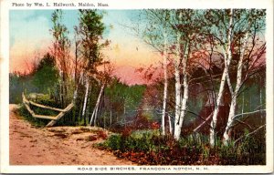 Road Side Heights Franconia Notch NH New Hampshire WB Postcard UNP VTG Unused 