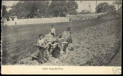 spain, VIGO, Tipos del Pais (ca. 1910) Oxes Ploughing