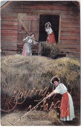 Haying in Oxford NY