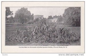 Cactus Bed On Grounds Of John Lewis Childs, Floral Park, New York, 00-10s