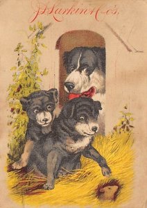 Approx. Size: 3.25 x 4.5 Dogs in a doghouse  Late 1800's Tradecard Non  