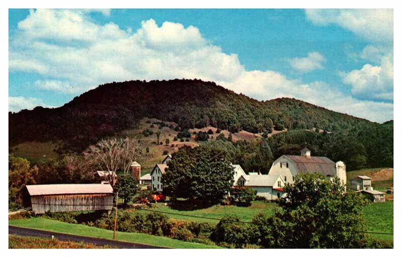 Postcard BRIDGE SCENE Tunbridge Vermont VT AS0469