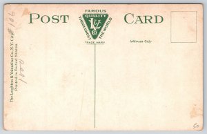 Concord New Hampshire~State Capitol~Statue~Dome~Greek Revival~c1910 Postcard