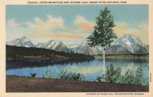 Teton Mountains & Jackson Lake, Grand Teton National Park, WY. Linen Postcard