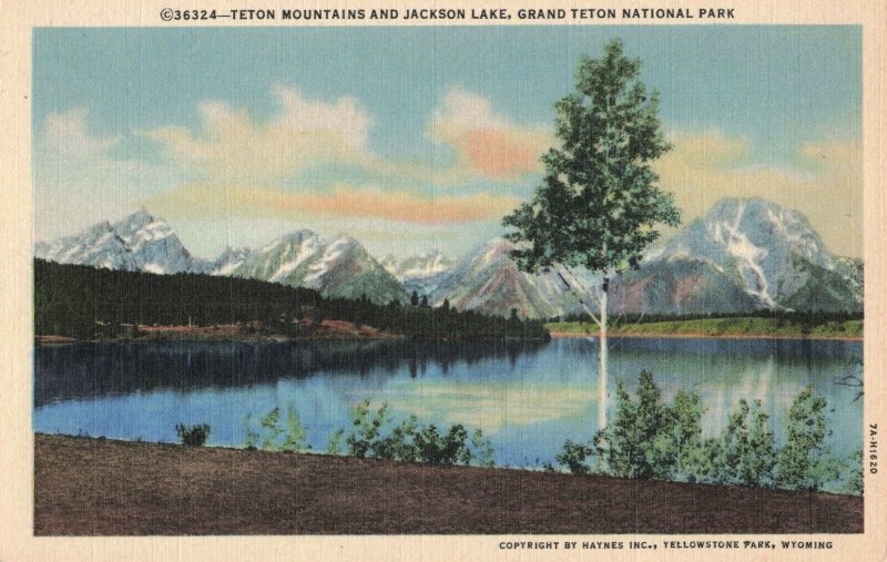 Teton Mountains & Jackson Lake, Grand Teton National Park, WY. Linen Postcard