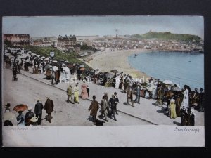 Yorkshire SCARBOROUGH South Cliff Church Parade c1905 Postcard by Hartmann