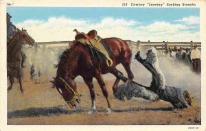 Cowboy Thrown from Bucking Bronco Western Rodeo linen postcard