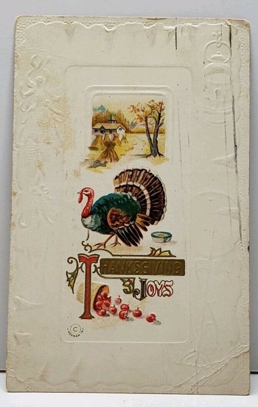 Thanksgiving Greetings Turkey 1911 Richland Center Wis Embossed Postcard F12